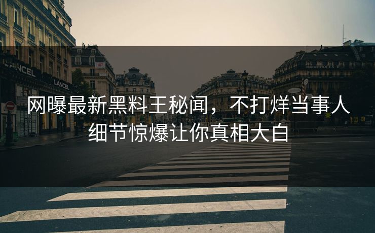 网曝最新黑料王秘闻，不打烊当事人细节惊爆让你真相大白