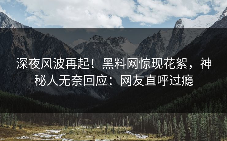 深夜风波再起！黑料网惊现花絮，神秘人无奈回应：网友直呼过瘾