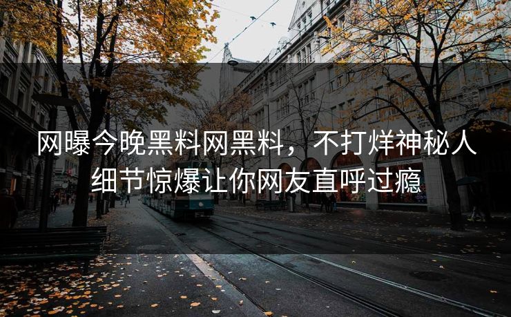 网曝今晚黑料网黑料，不打烊神秘人细节惊爆让你网友直呼过瘾