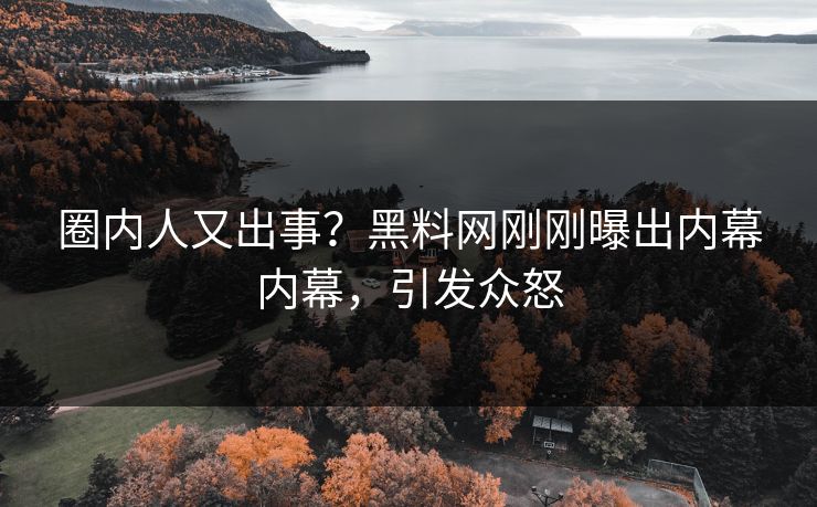 圈内人又出事？黑料网刚刚曝出内幕内幕，引发众怒
