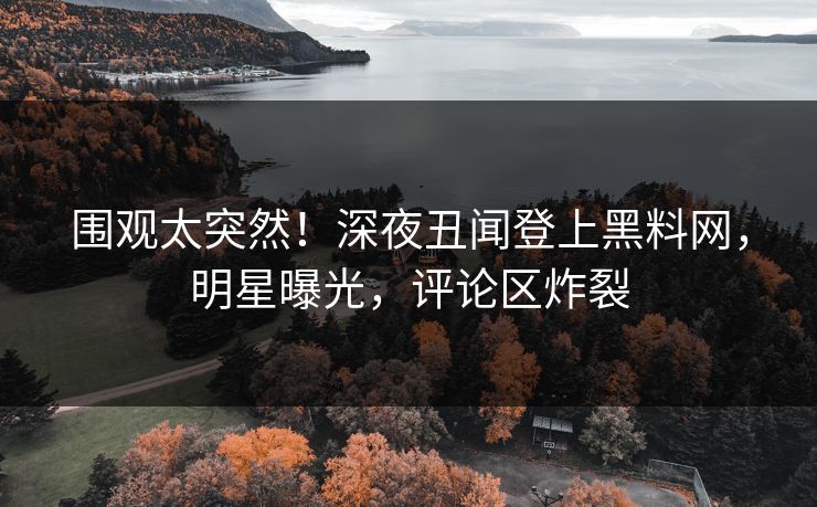 围观太突然！深夜丑闻登上黑料网，明星曝光，评论区炸裂