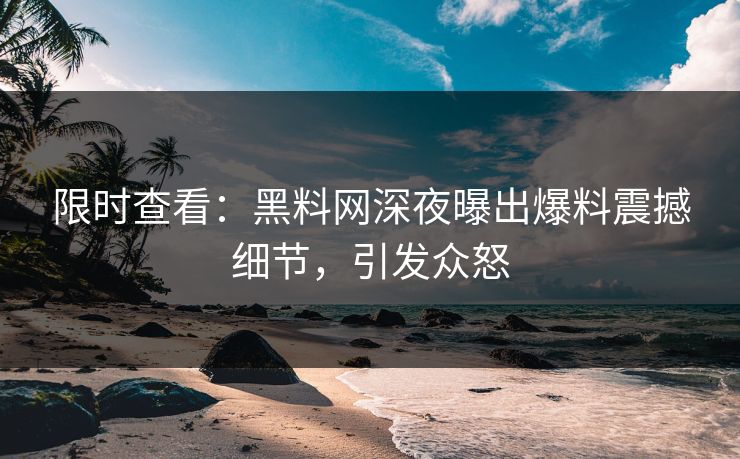 限时查看：黑料网深夜曝出爆料震撼细节，引发众怒