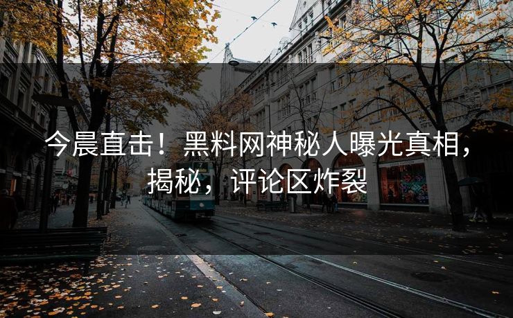 今晨直击！黑料网神秘人曝光真相，揭秘，评论区炸裂