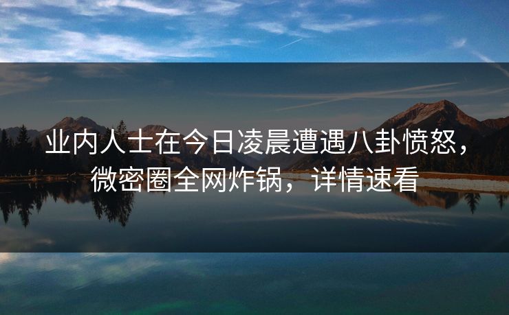 业内人士在今日凌晨遭遇八卦愤怒，微密圈全网炸锅，详情速看