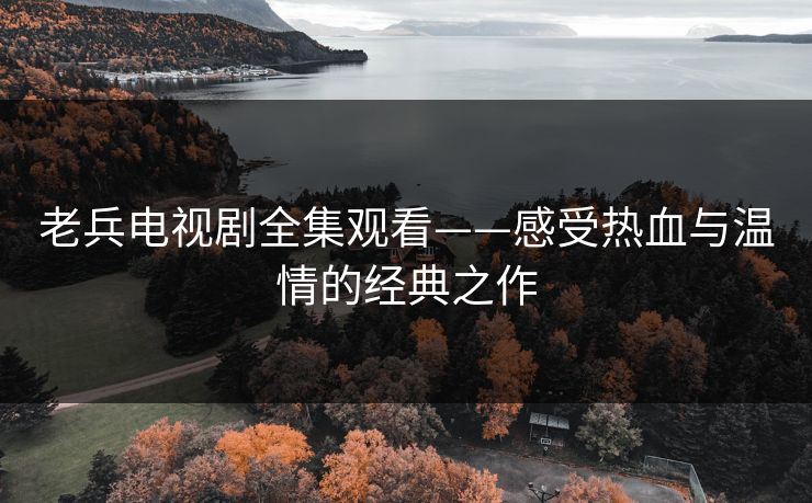 老兵电视剧全集观看——感受热血与温情的经典之作