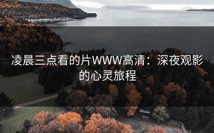凌晨三点看的片WWW高清：深夜观影的心灵旅程
